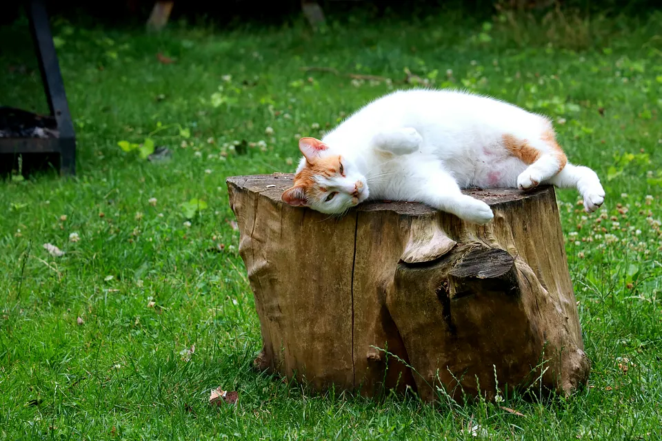 Your RAG System Isn’t Hallucinating, It’s Just Lazy